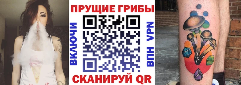 Галлюциногенные грибы GOLDEN TEACHER  Купить  Унеча 